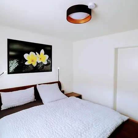 Apartment Grosse Im Stadtkern